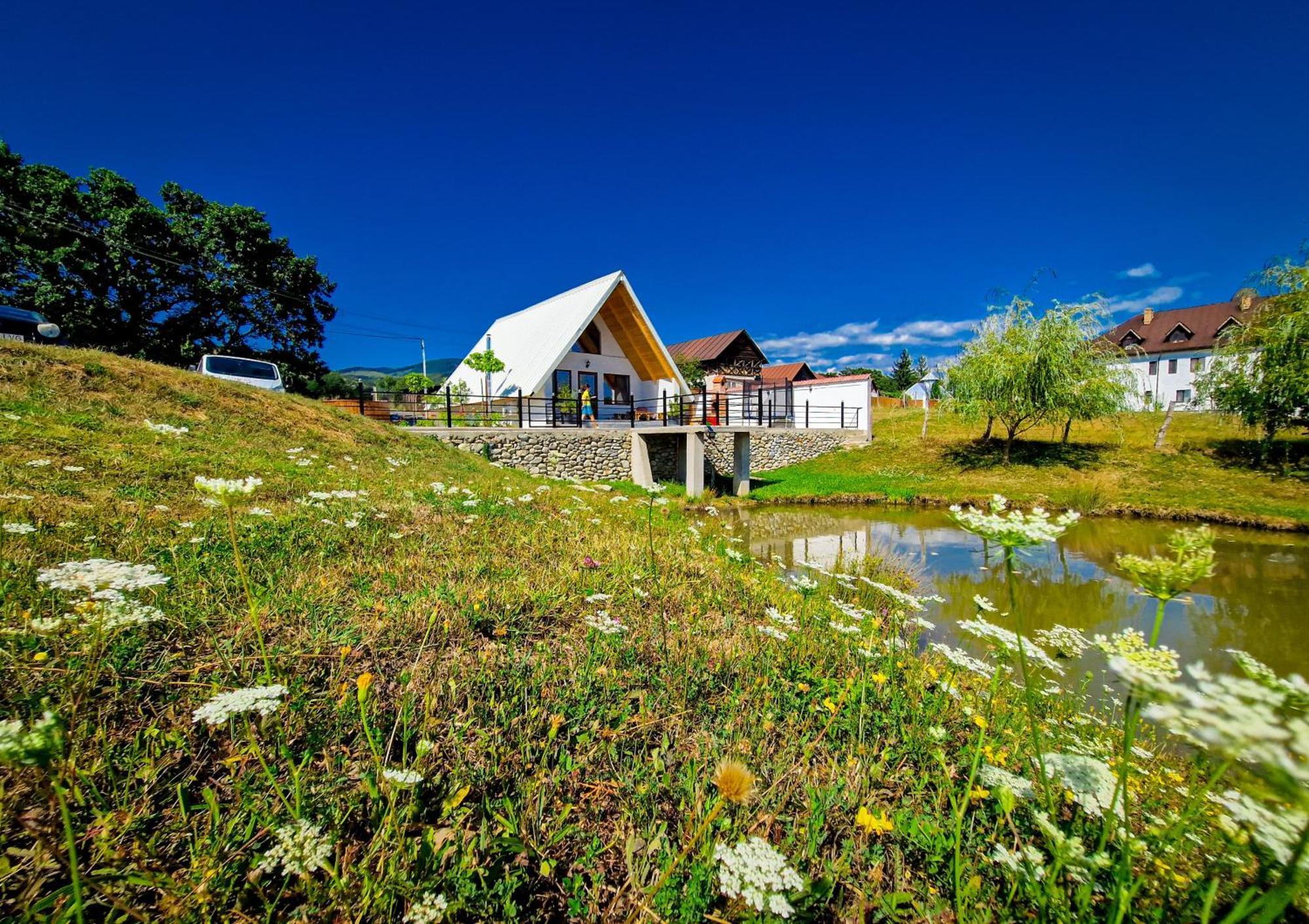 Vila Cabana A Lakeview Cărpinişu Exteriér fotografie